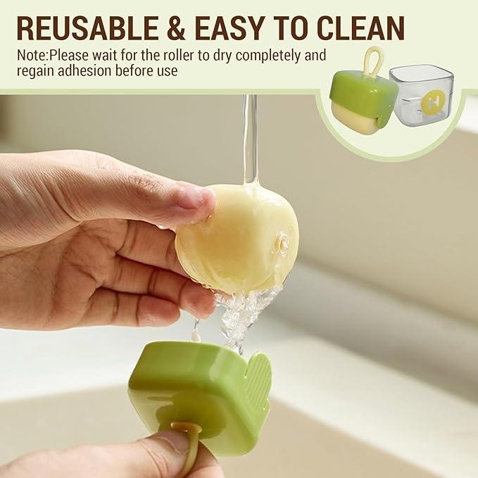 Buy 2 Get 2,Mini Lint Roller,Reusable Lint Remover,Washable Lint Roller,Portable Pet Hair Remover for Clothes,Travel Home